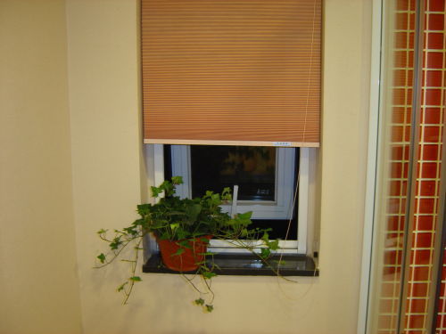 ���������һҳ