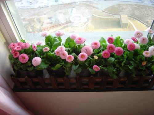 ���������һҳ